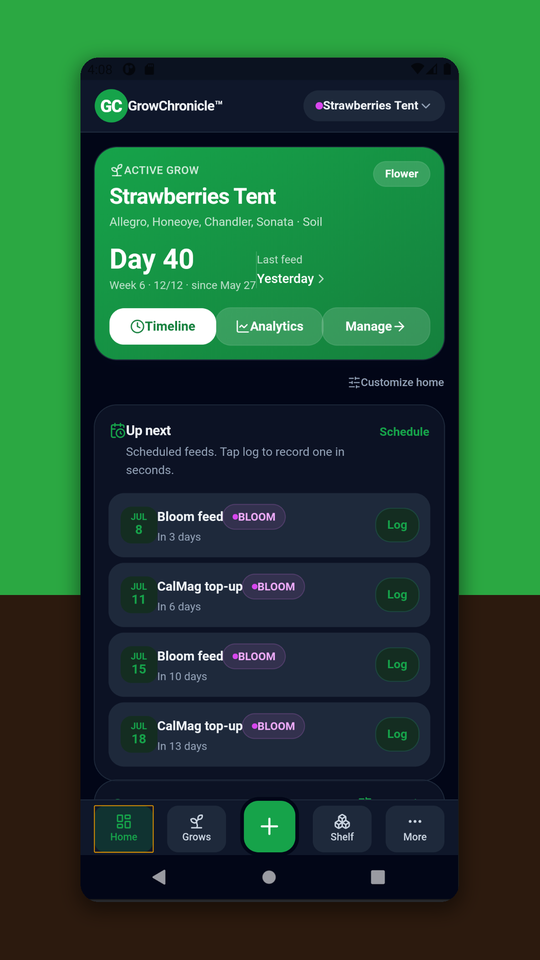 GrowChronicle dashboard — active grow, upcoming feeds and one-tap logging